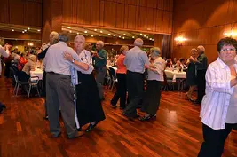 20084