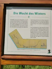 img_20250705_113702