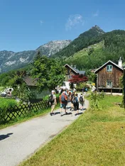 img_20250705_104136